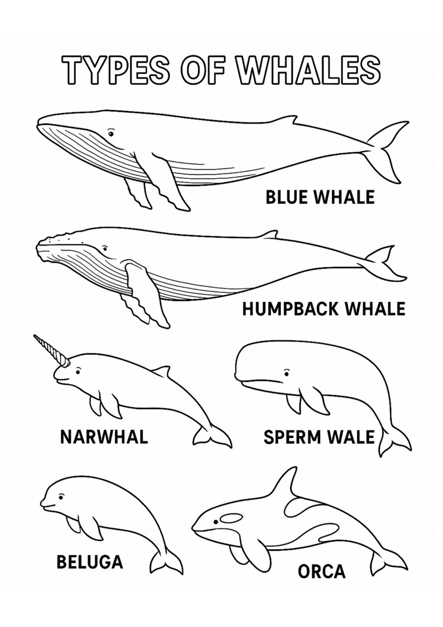 Desenho de Baleias para colorir e imprimir: número 21