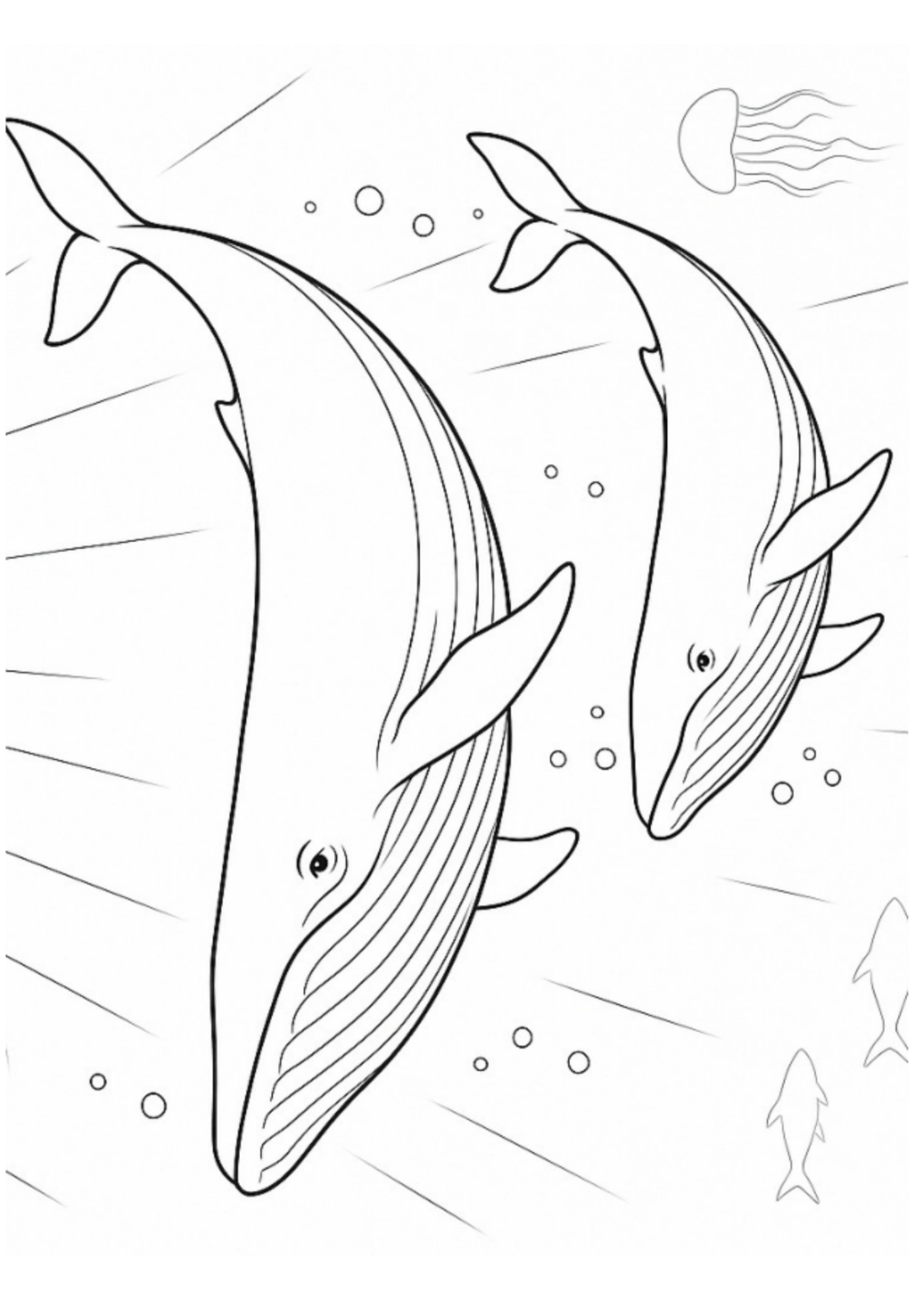 Desenho de Baleias para colorir e imprimir: número 24