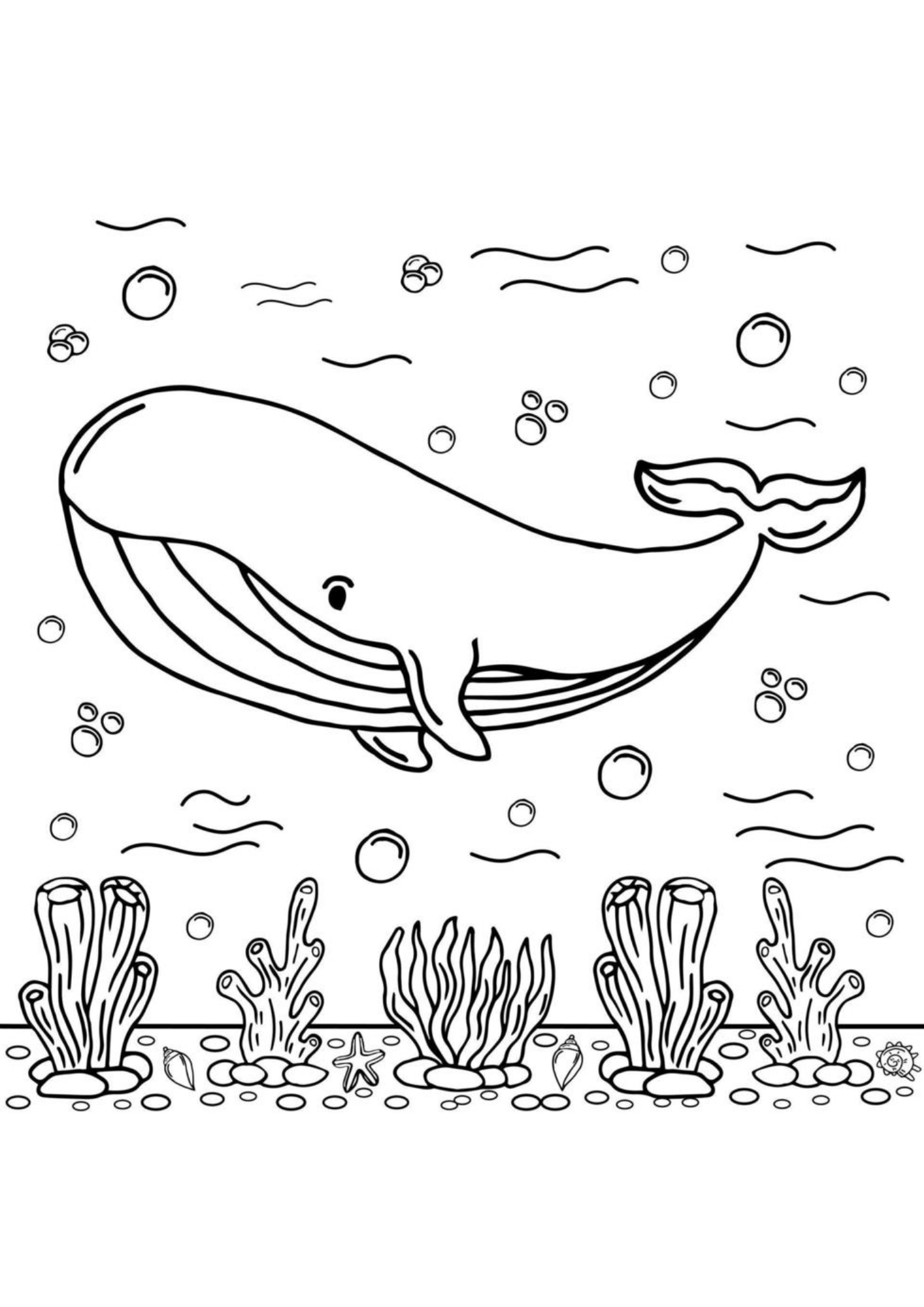 Desenho de Baleias para colorir e imprimir: número 27
