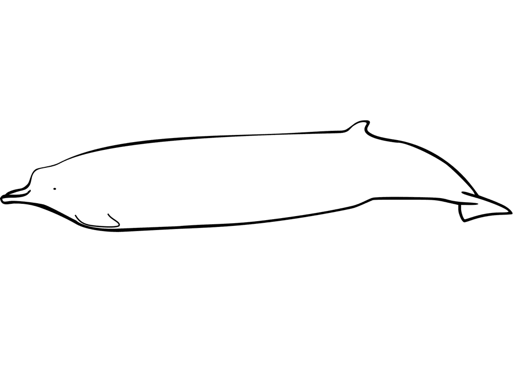 Desenho de Baleias para colorir e imprimir: número 32