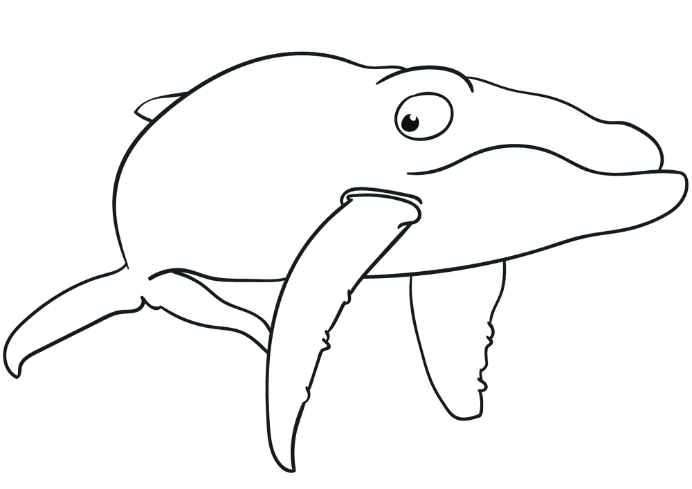Desenho de Baleias para colorir e imprimir: número 41