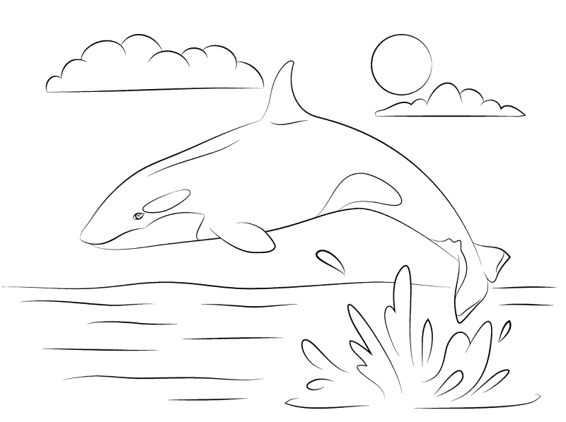 Desenho de Baleias para colorir e imprimir: número 47