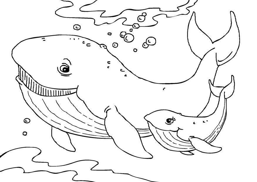 Desenho de Baleias para colorir