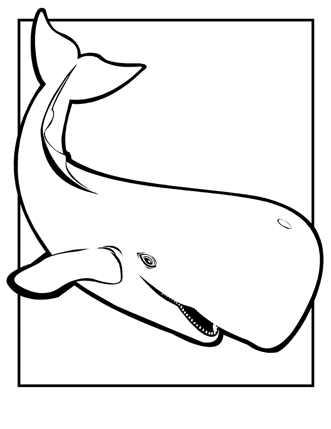 Desenho de Baleias para colorir