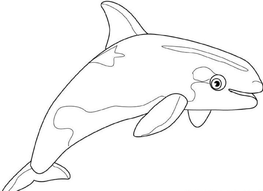 Desenho de Baleias para colorir