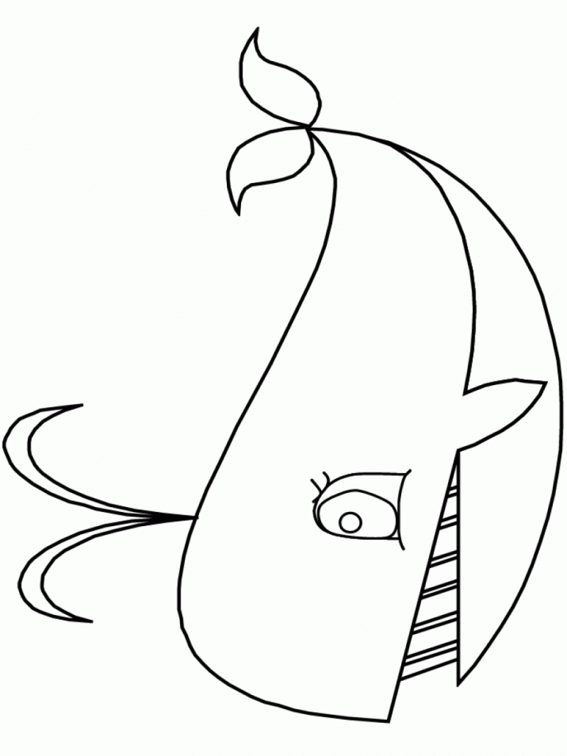 Desenho de Baleias para colorir