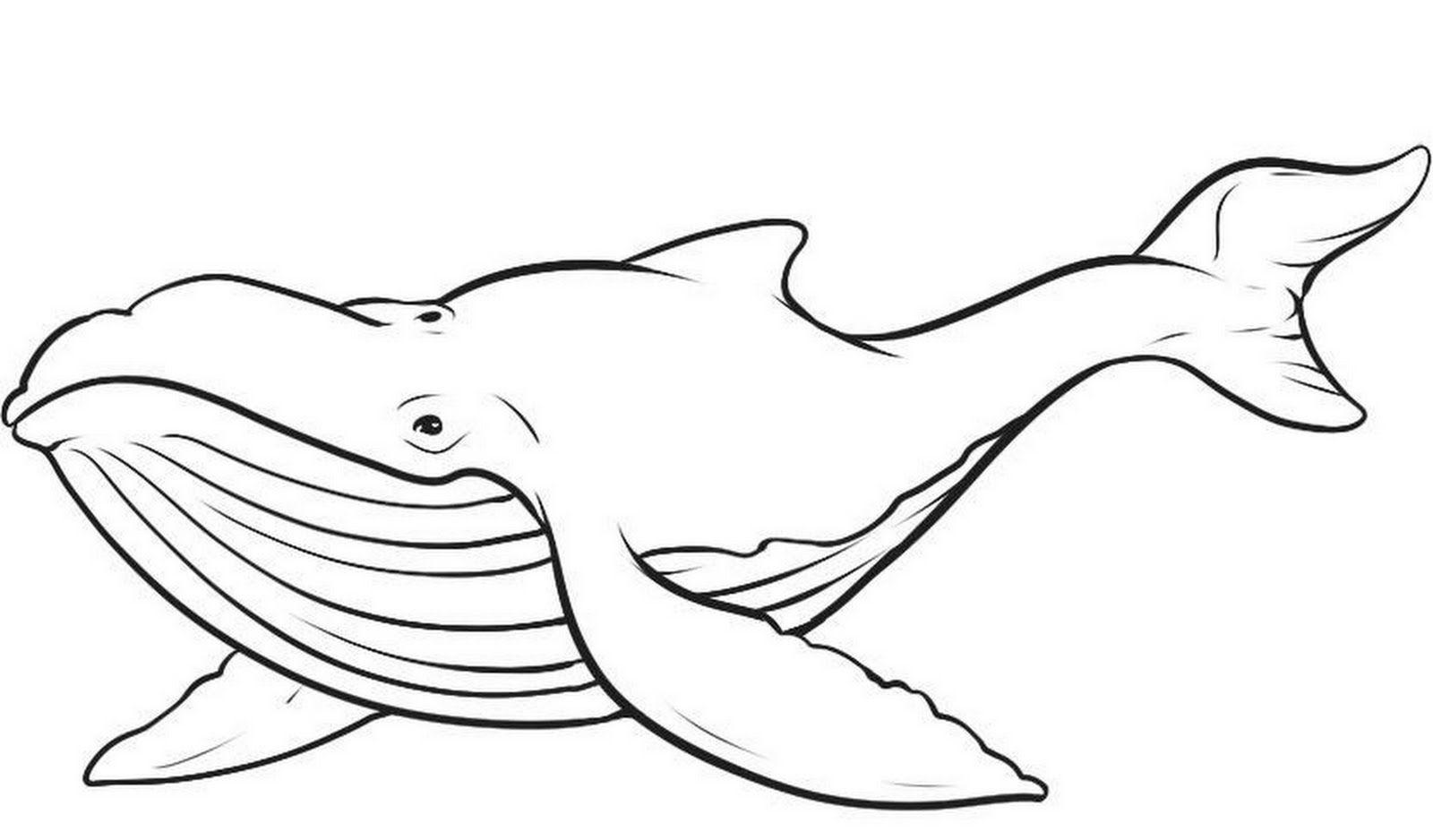Desenho de Baleias para colorir