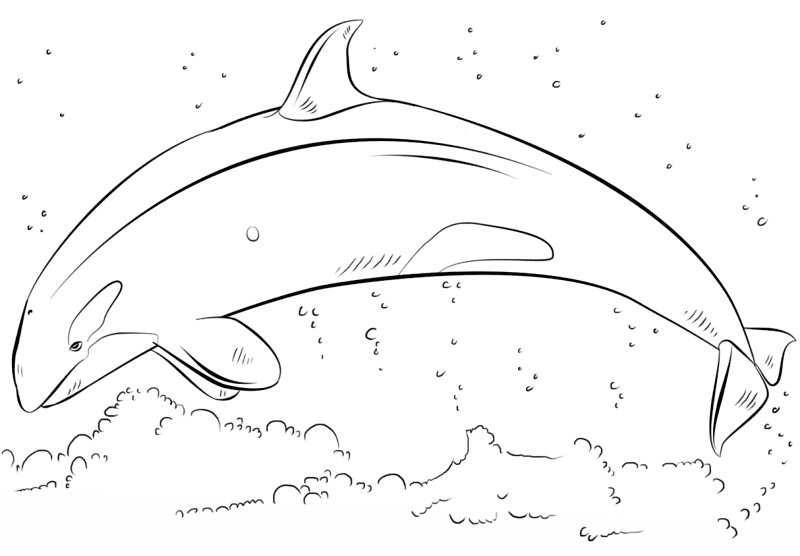 Desenho de Baleias para colorir