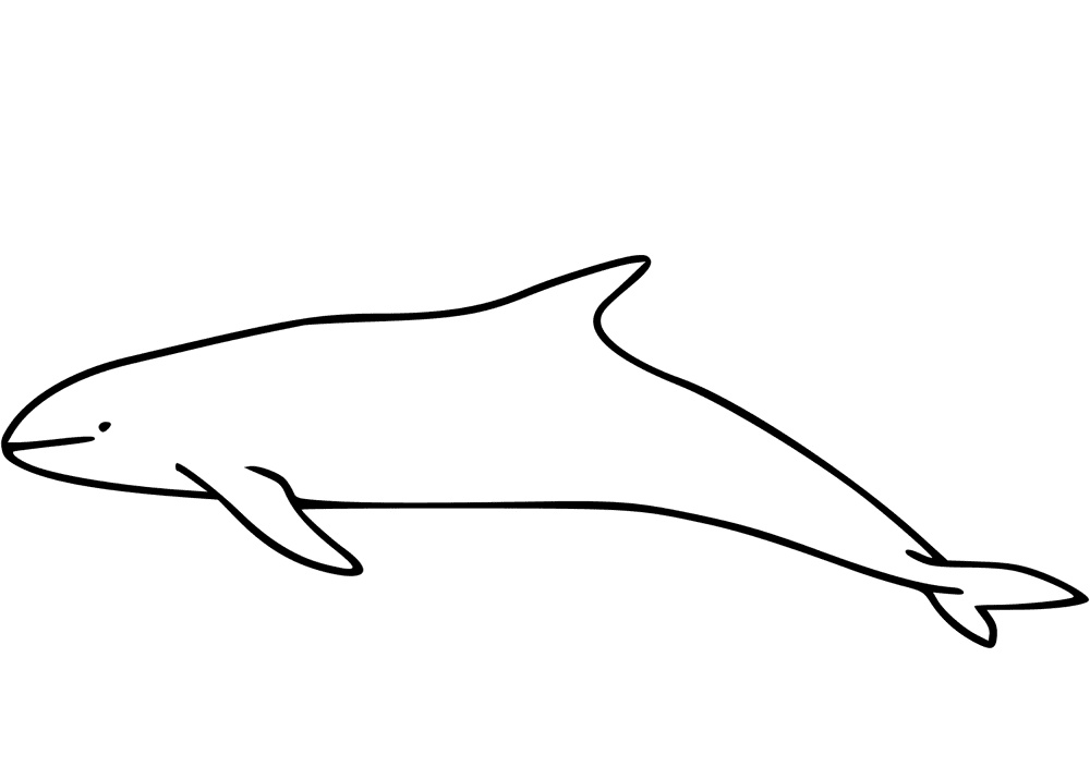 Desenho de Baleias para colorir