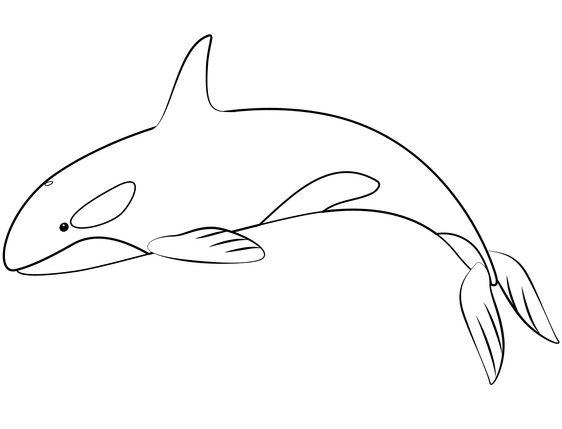 Desenho de Baleias para colorir
