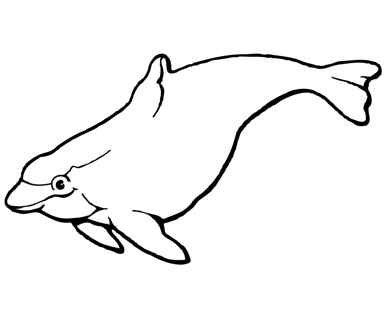 Desenho de Baleias para colorir