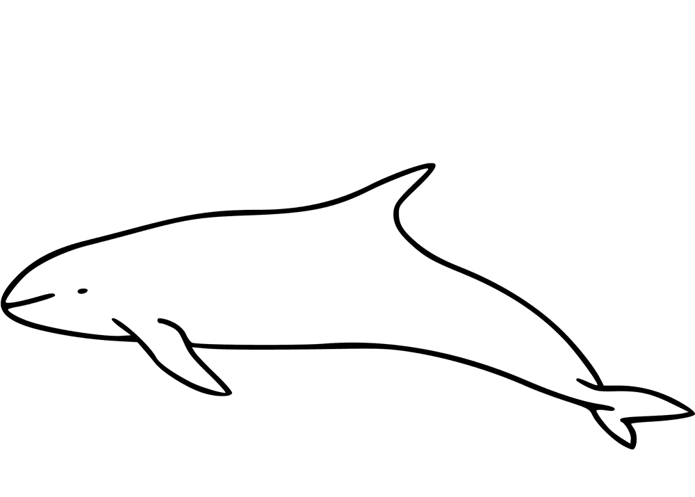 Desenho de Baleias para colorir