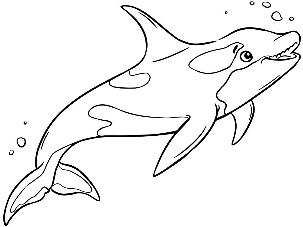 Desenho de Baleias para colorir