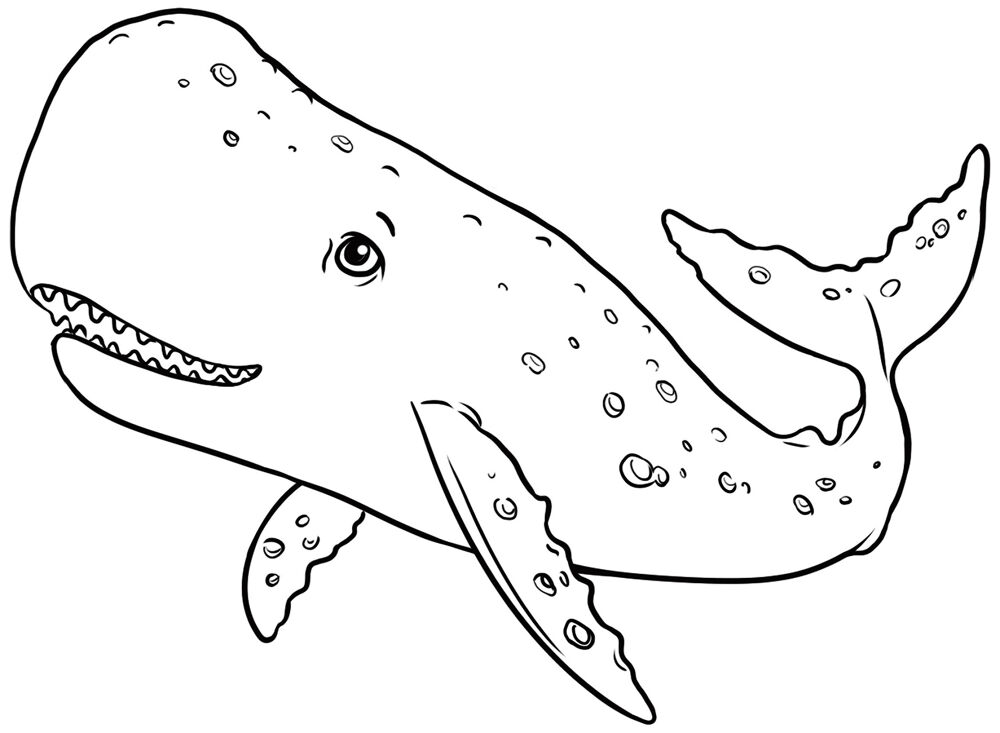 Desenho de Baleias para colorir