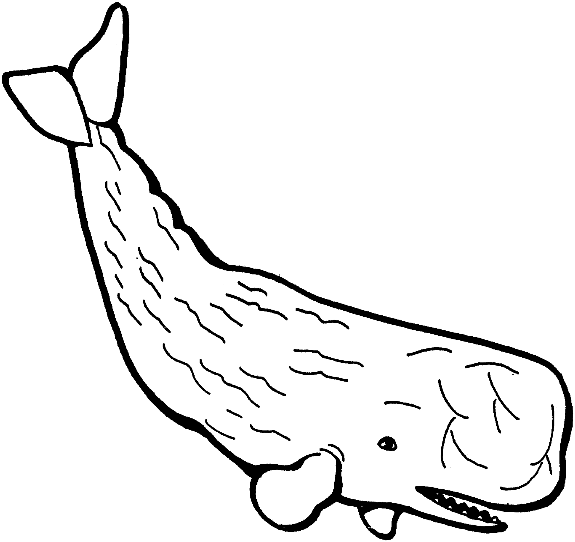 Desenho de Baleias para colorir