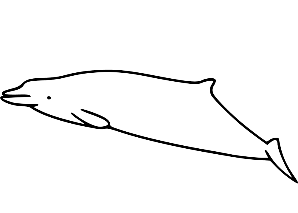 Desenho de Baleias para colorir
