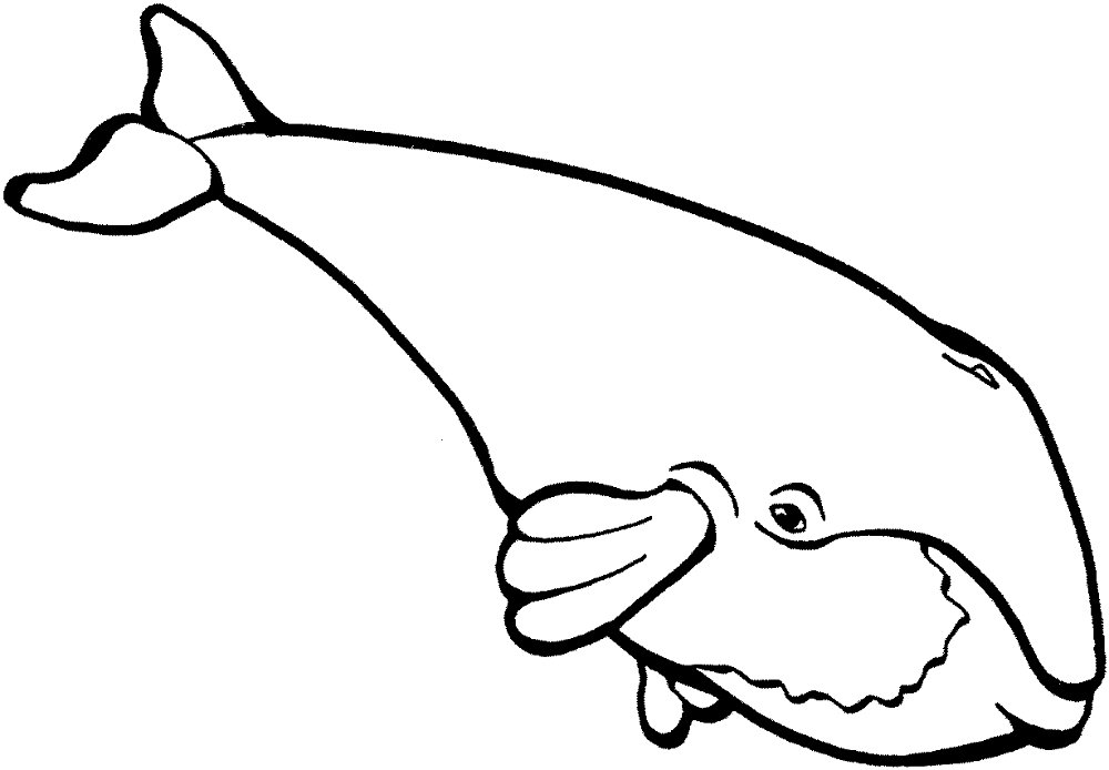 Desenho de Baleias para colorir