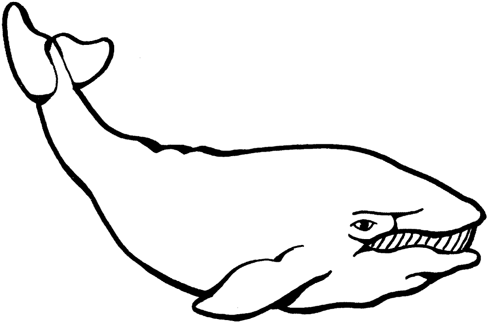 Desenho de Baleias para colorir