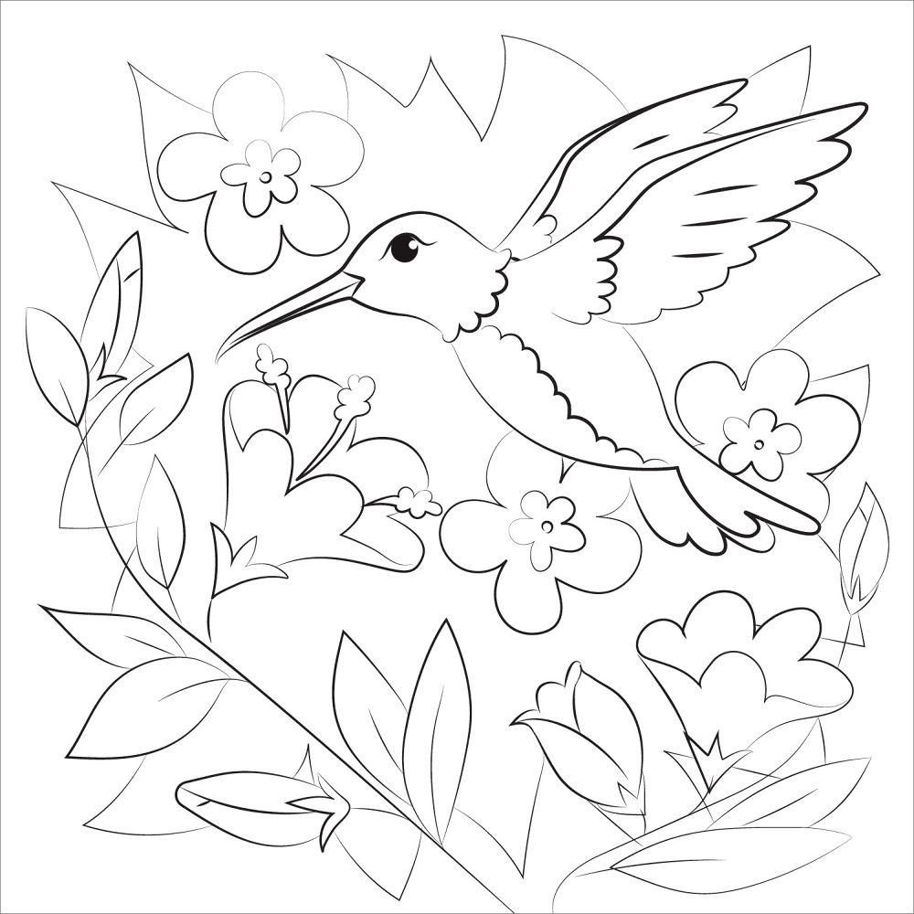 Desenho de Beija Flor para colorir e imprimir: número 1