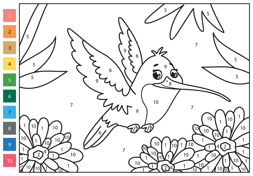 Desenho de Beija Flor para colorir e imprimir: número 5