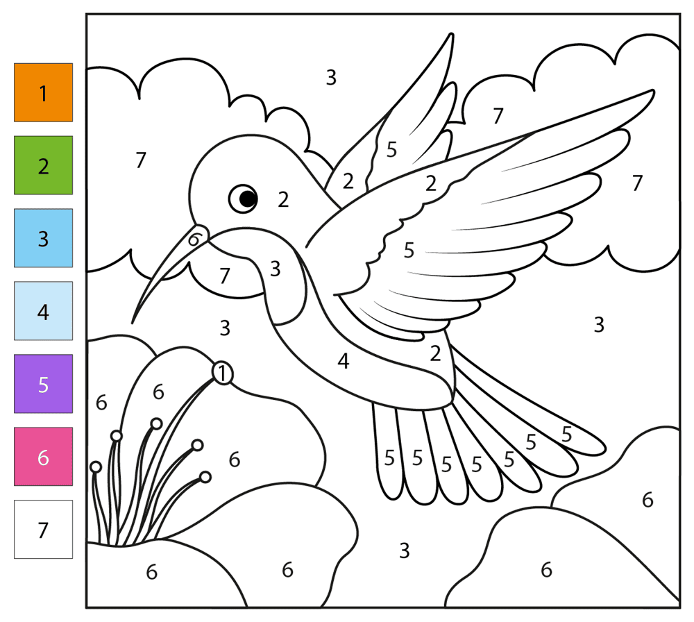 Desenho de Beija Flor para colorir e imprimir: número 6