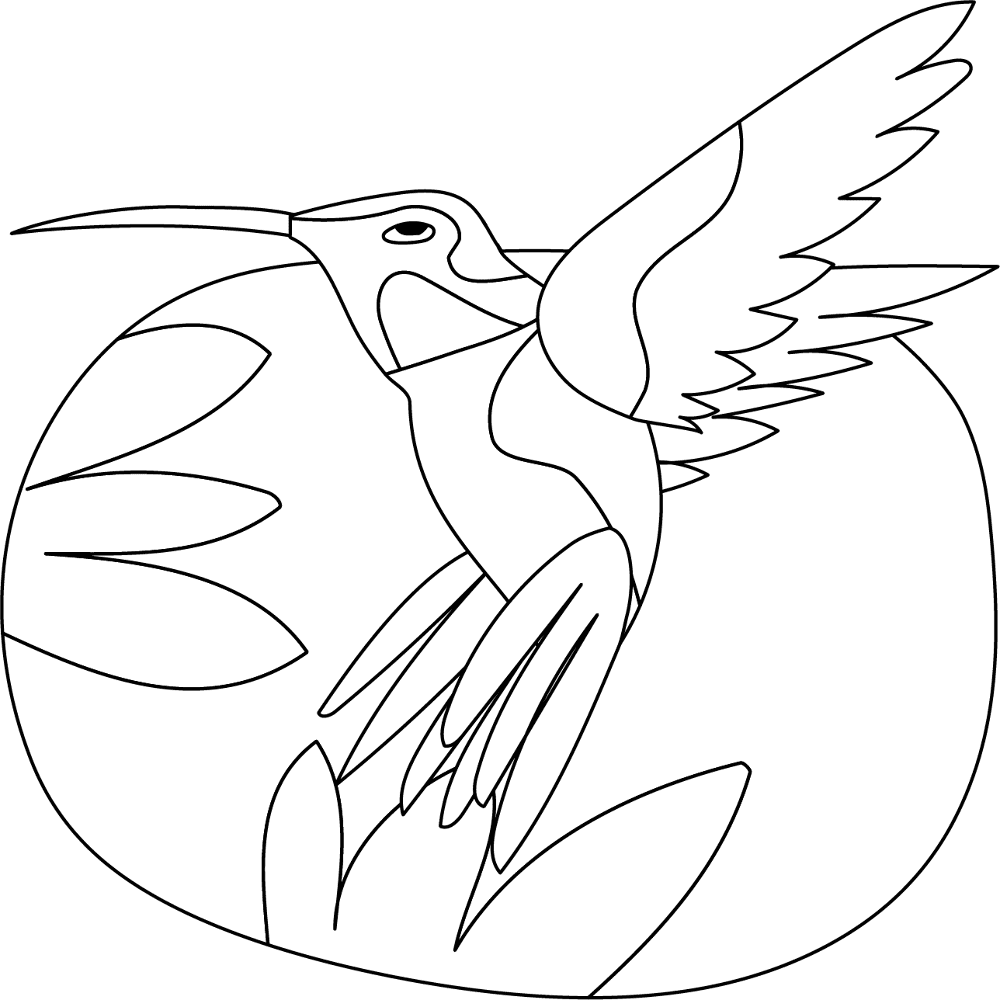 Desenho de Beija Flor para colorir e imprimir: número 7