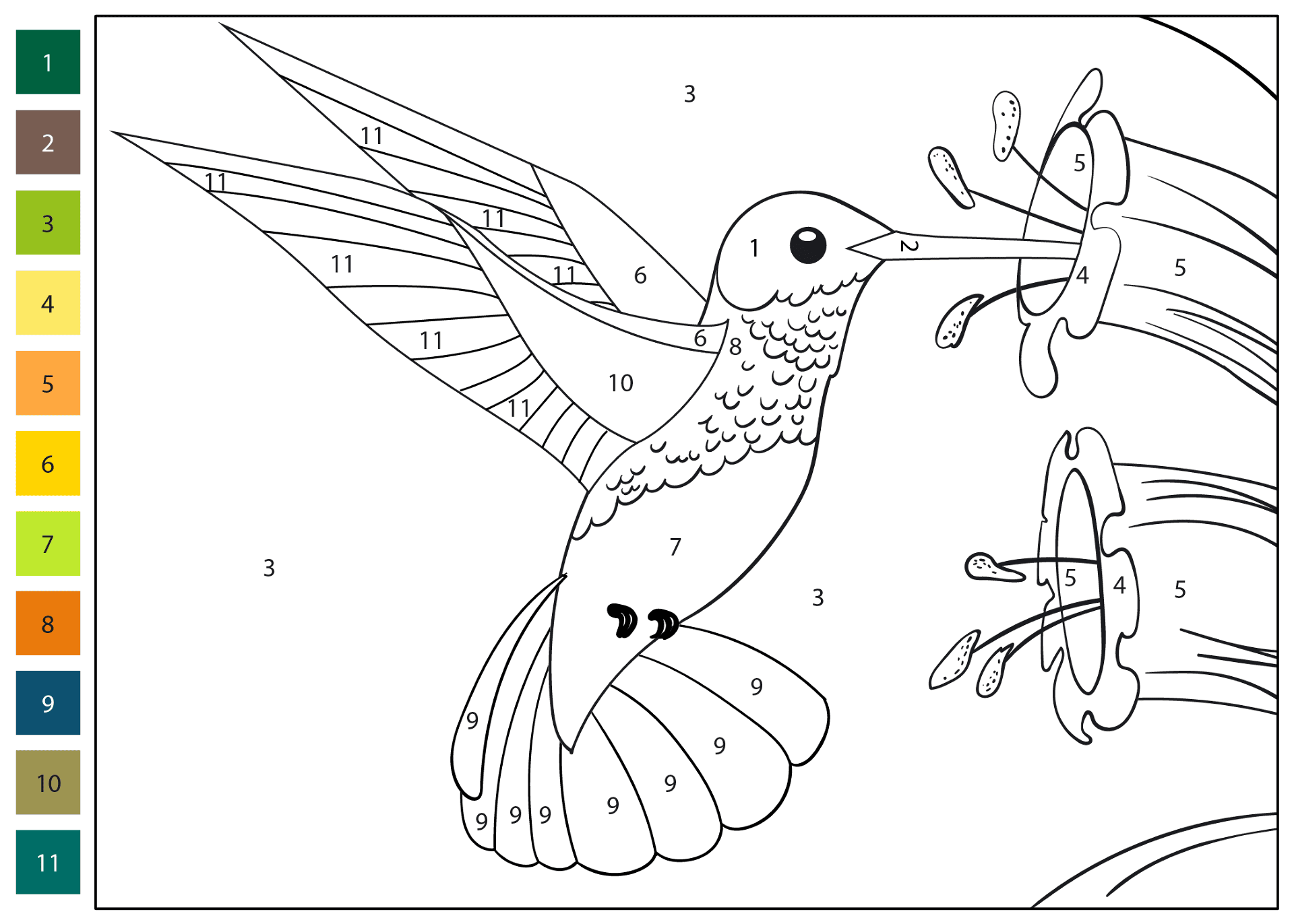 Desenho de Beija Flor para colorir e imprimir: número 8