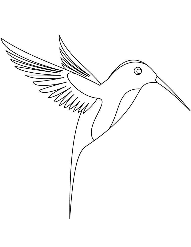 Desenho de Beija Flor para colorir e imprimir: número 14