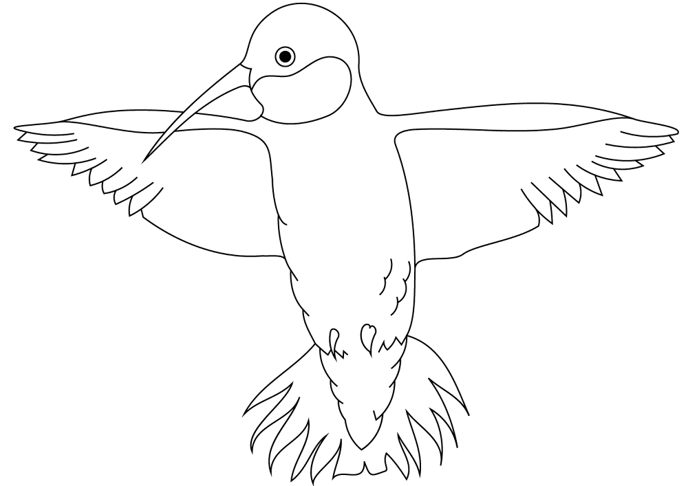 Desenho de Beija Flor para colorir e imprimir: número 17