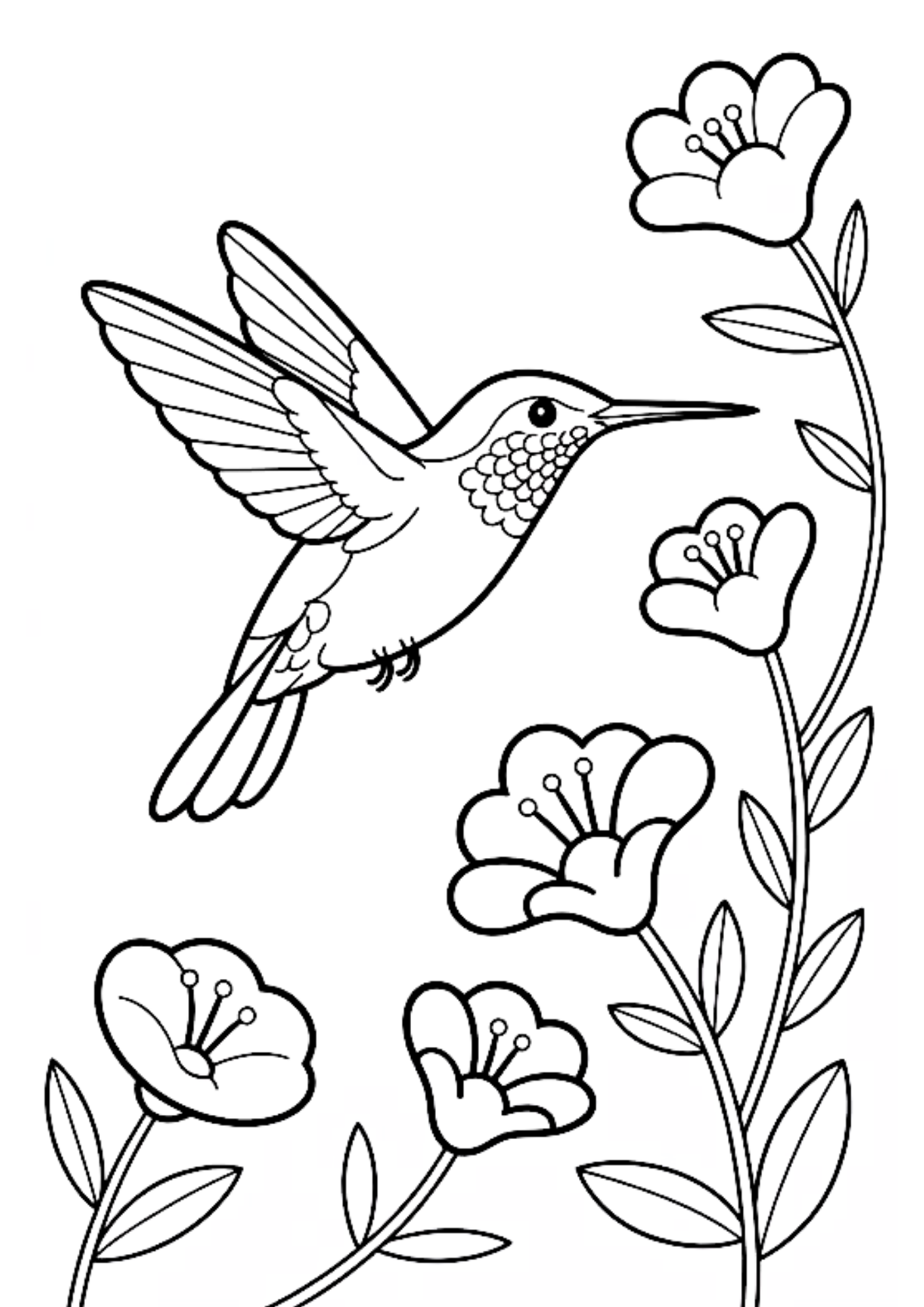 Desenho de Beija Flor para colorir e imprimir: número 24