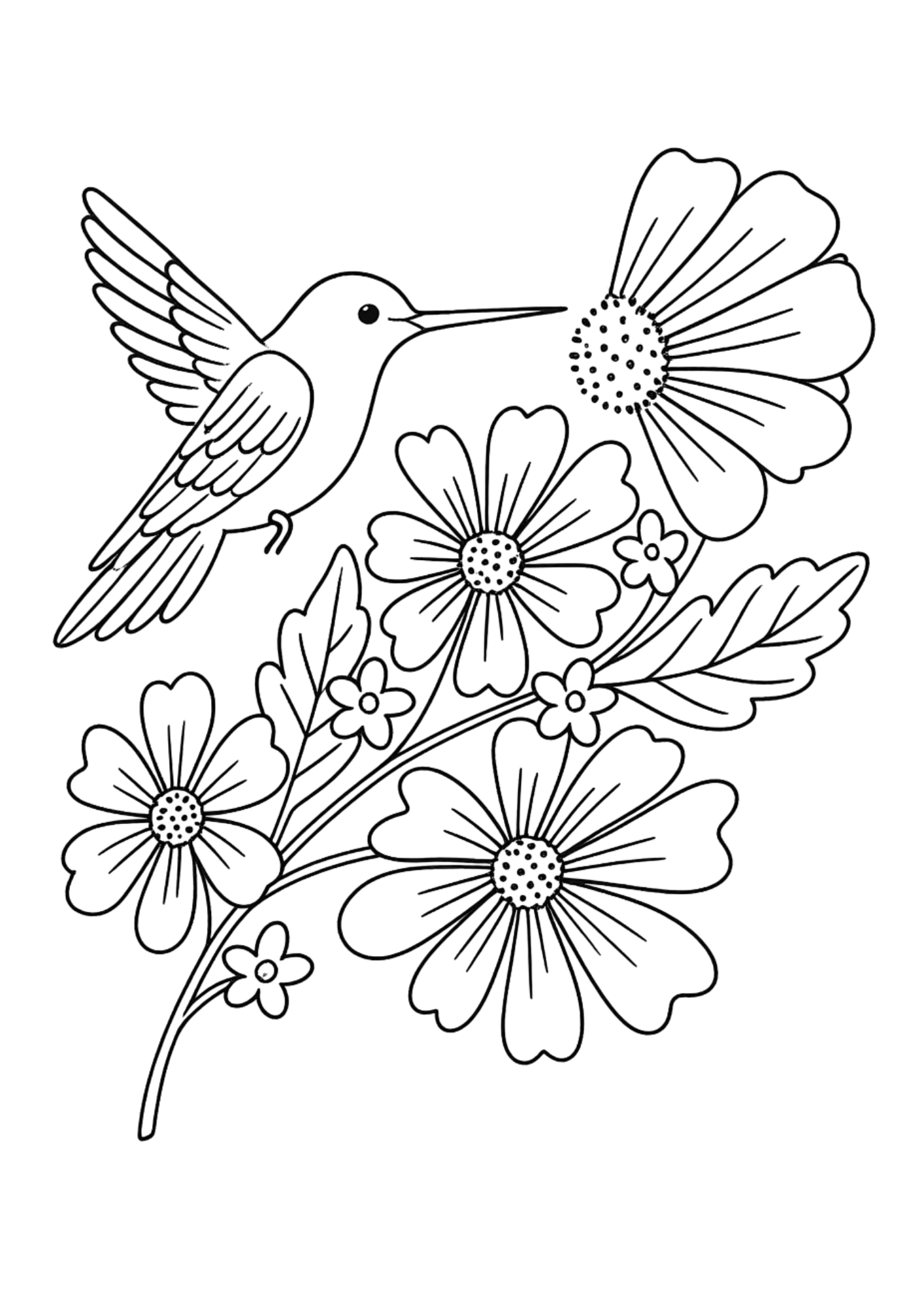 Desenho de Beija Flor para colorir e imprimir: número 27
