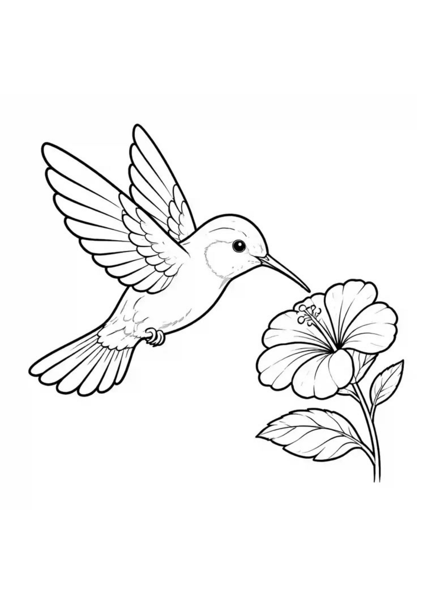 Desenho de Beija Flor para colorir e imprimir: número 29