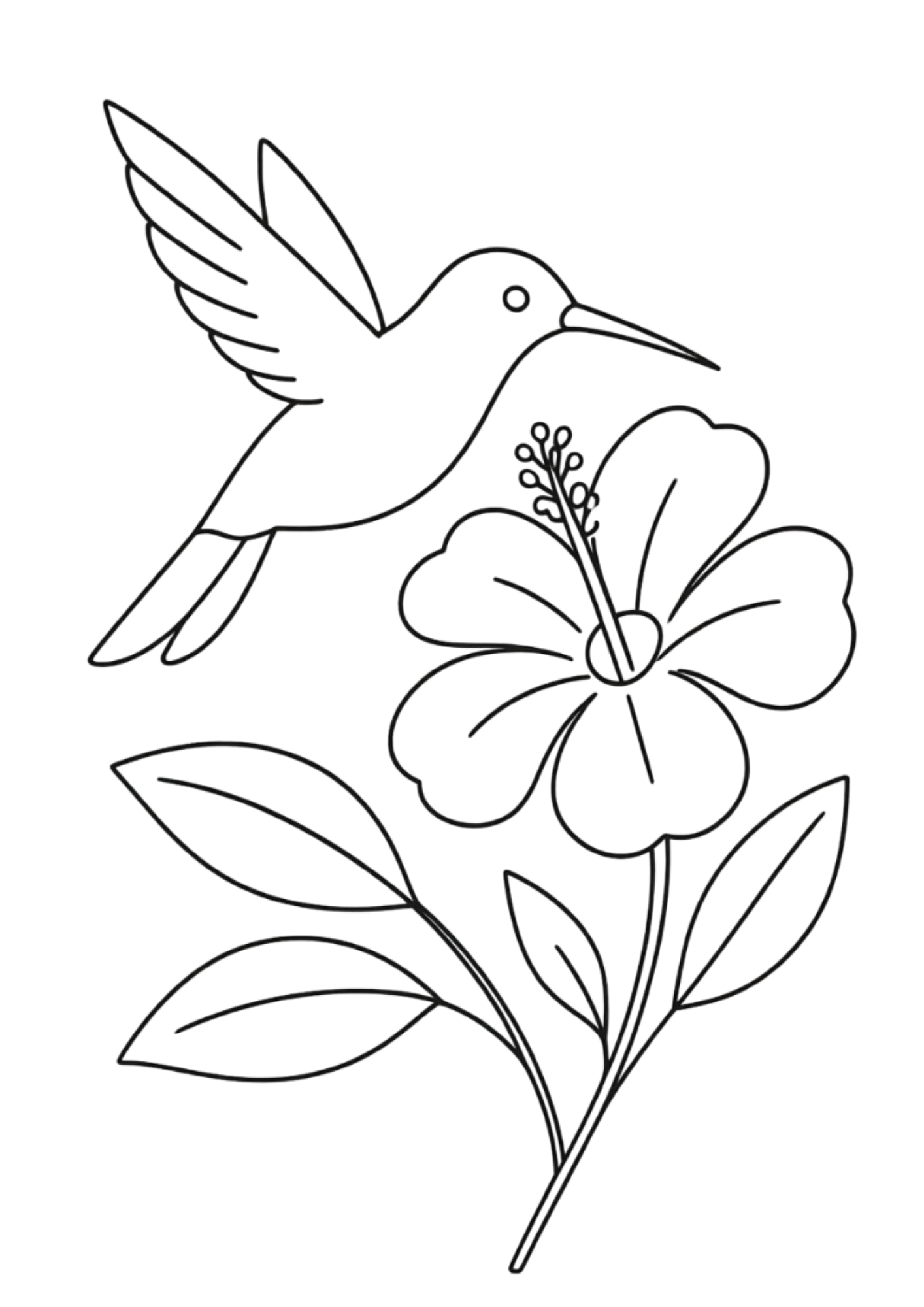 Desenho de Beija Flor para colorir e imprimir: número 30