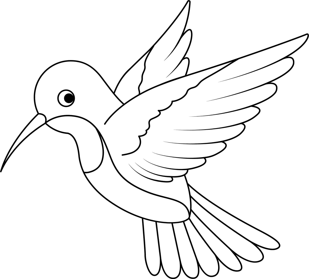 Desenho de Beija Flor para colorir e imprimir: número 34