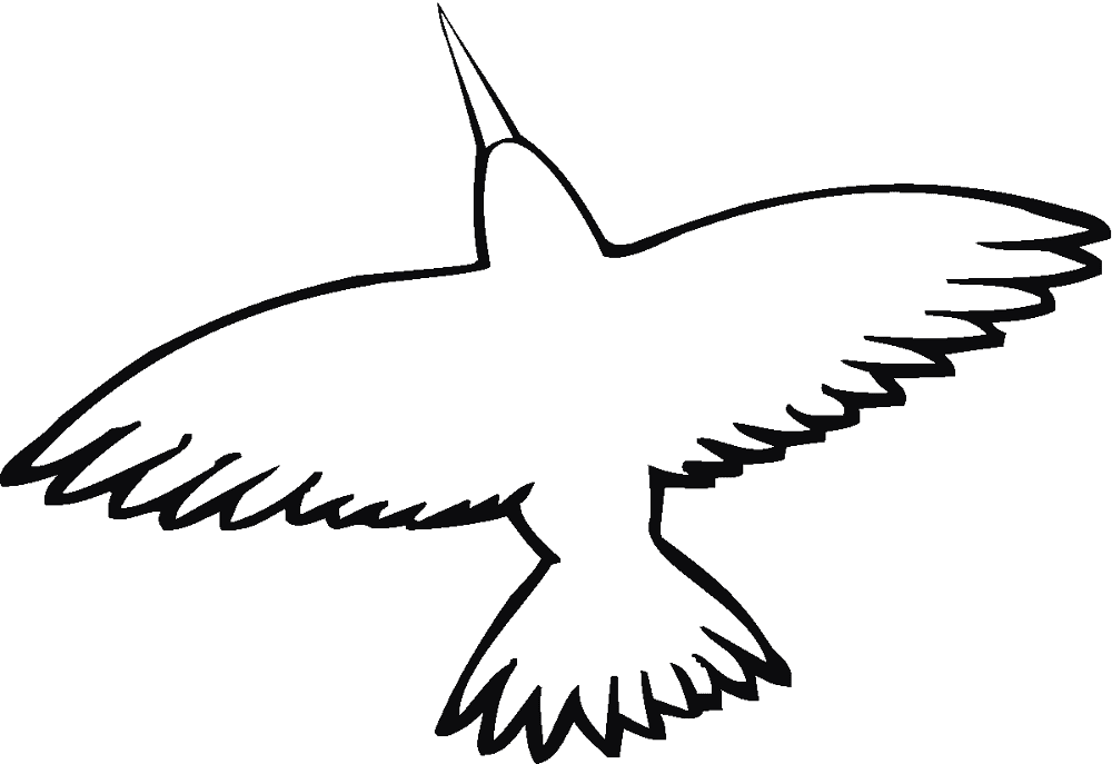 Desenho de Beija Flor para colorir