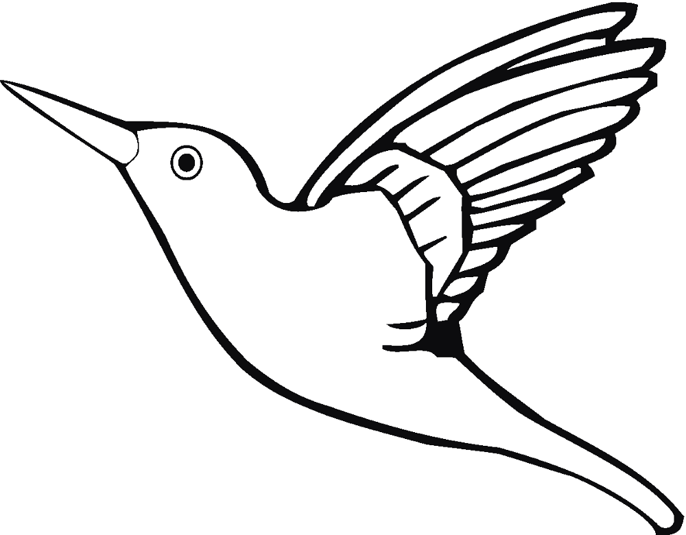 Desenho de Beija Flor para colorir