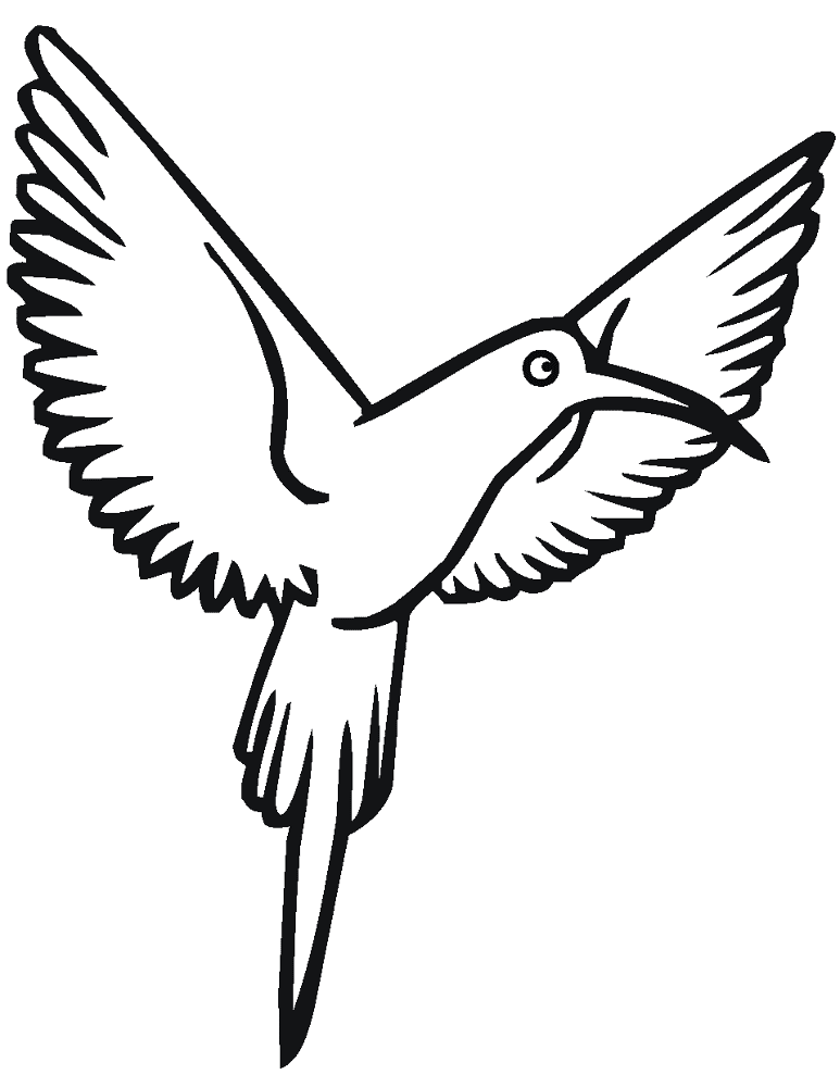 Desenho de Beija Flor para colorir
