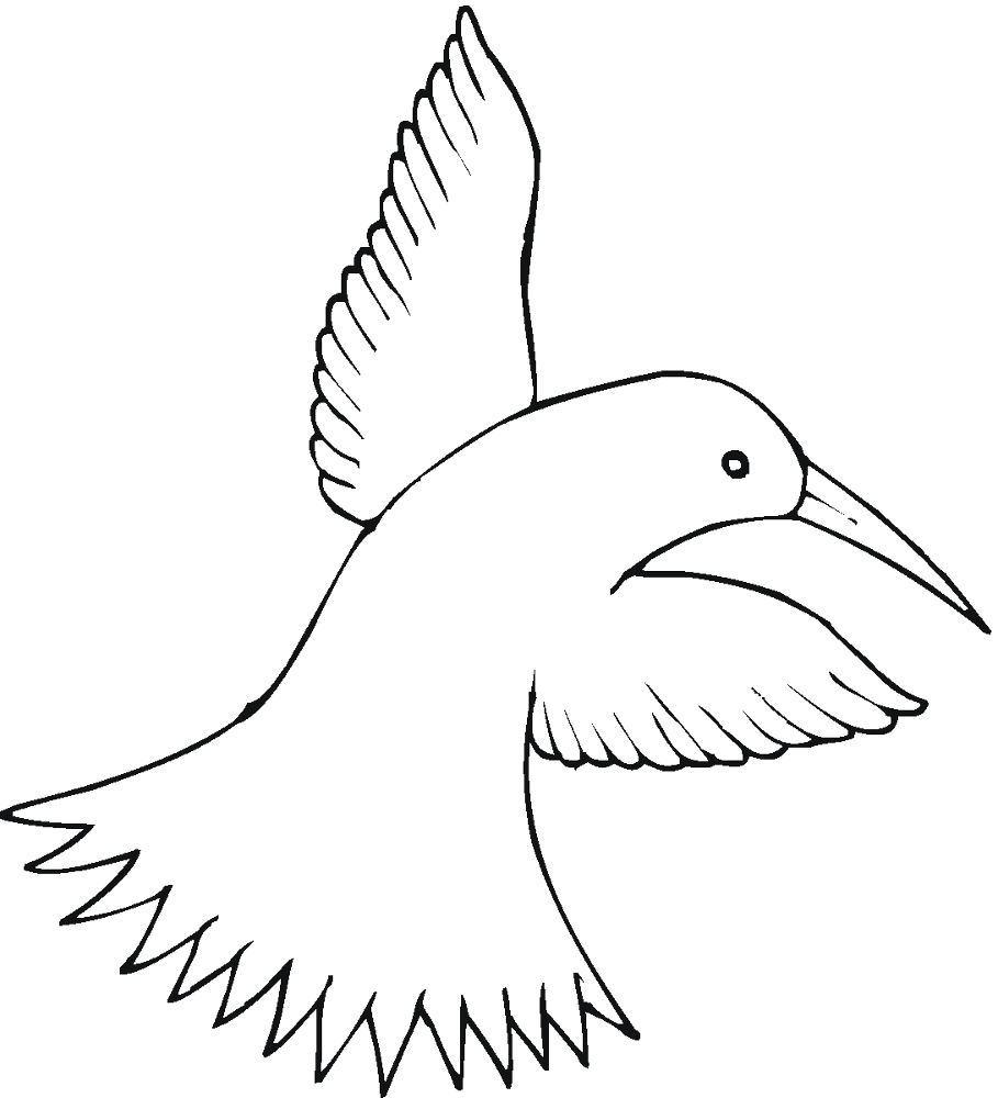 Desenho de Beija Flor para colorir
