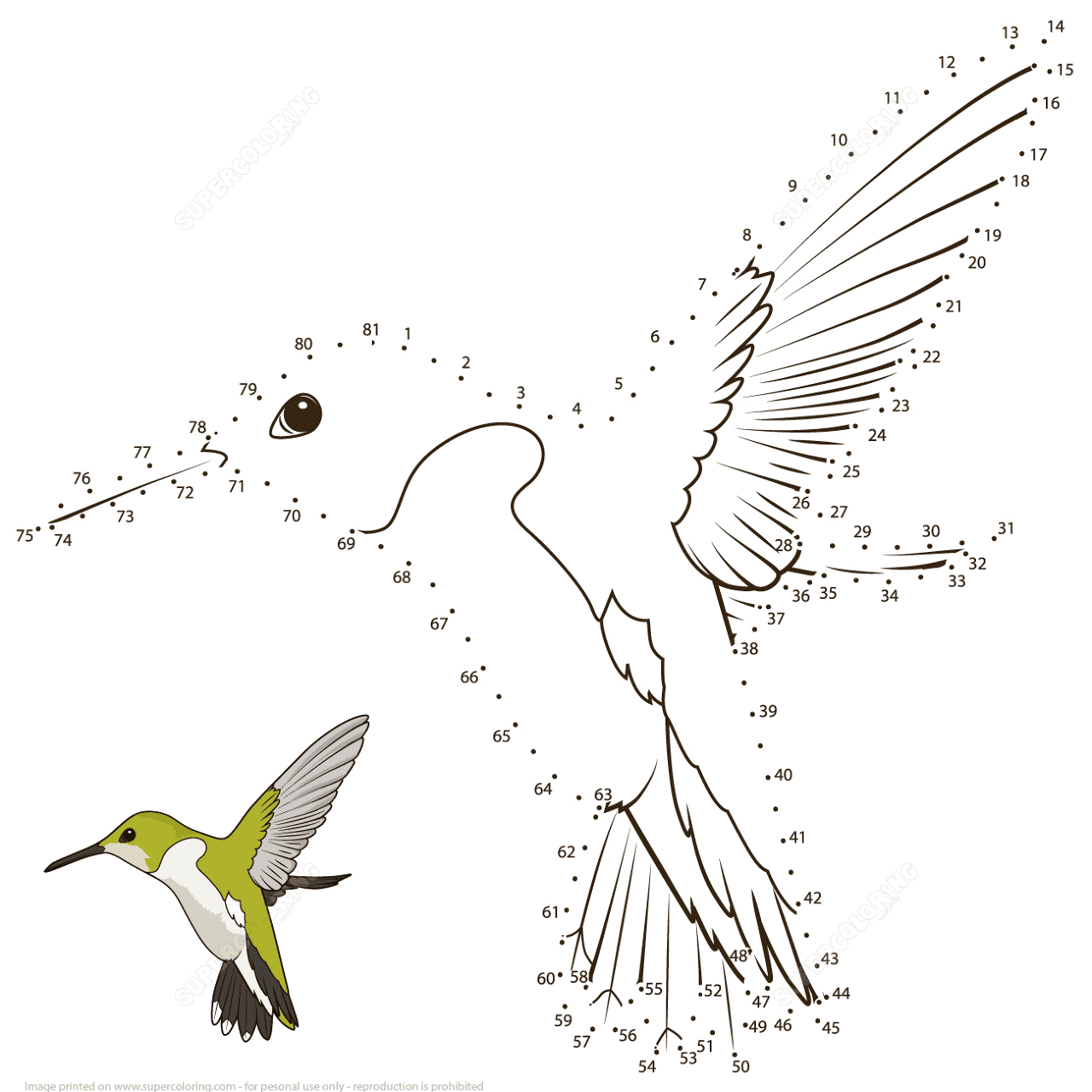 Desenho de Beija Flor para colorir