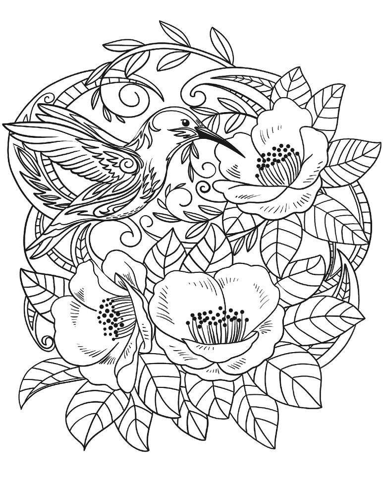 Desenho de Beija Flor para colorir