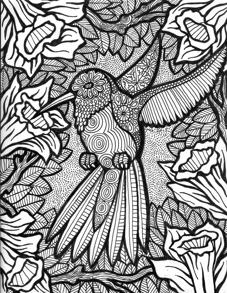 Desenho de Beija Flor para colorir