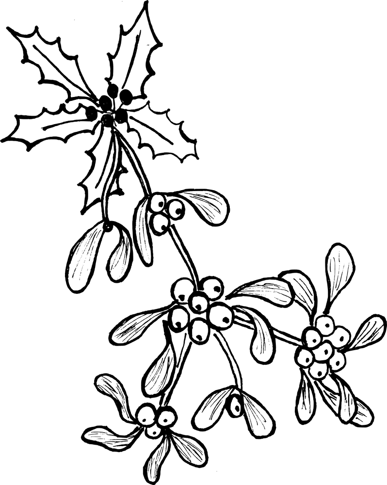 Desenho de Beija Flor para colorir
