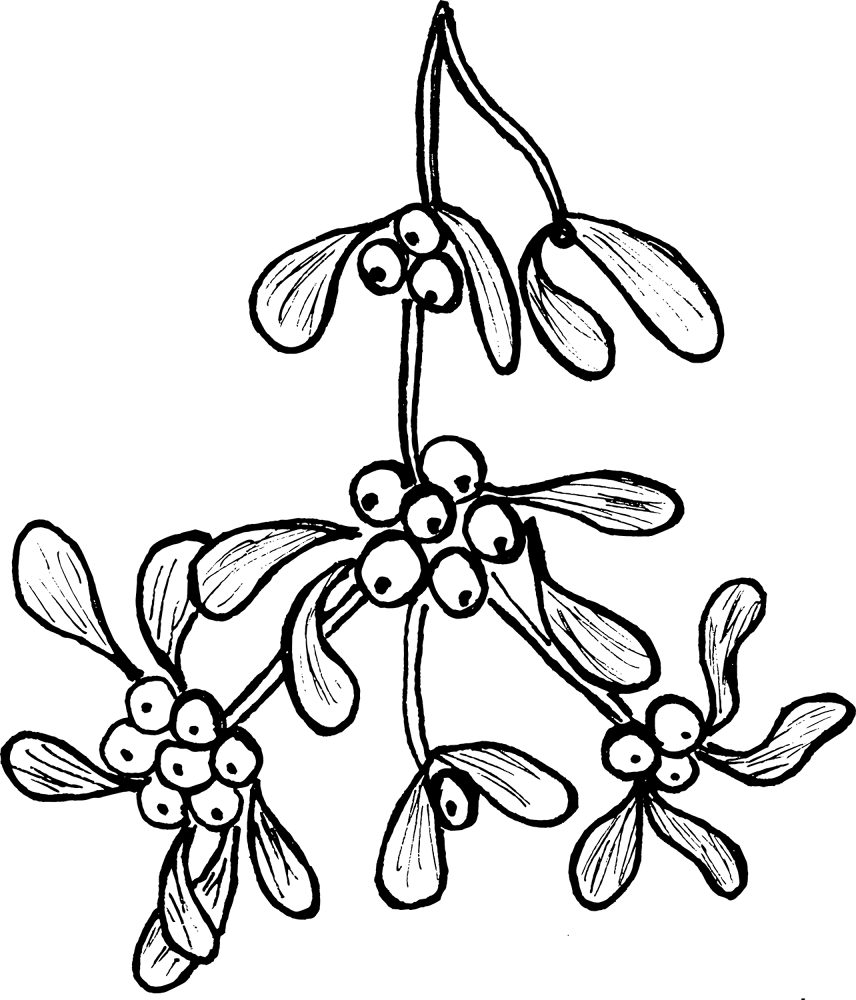 Desenho de Beija Flor para colorir