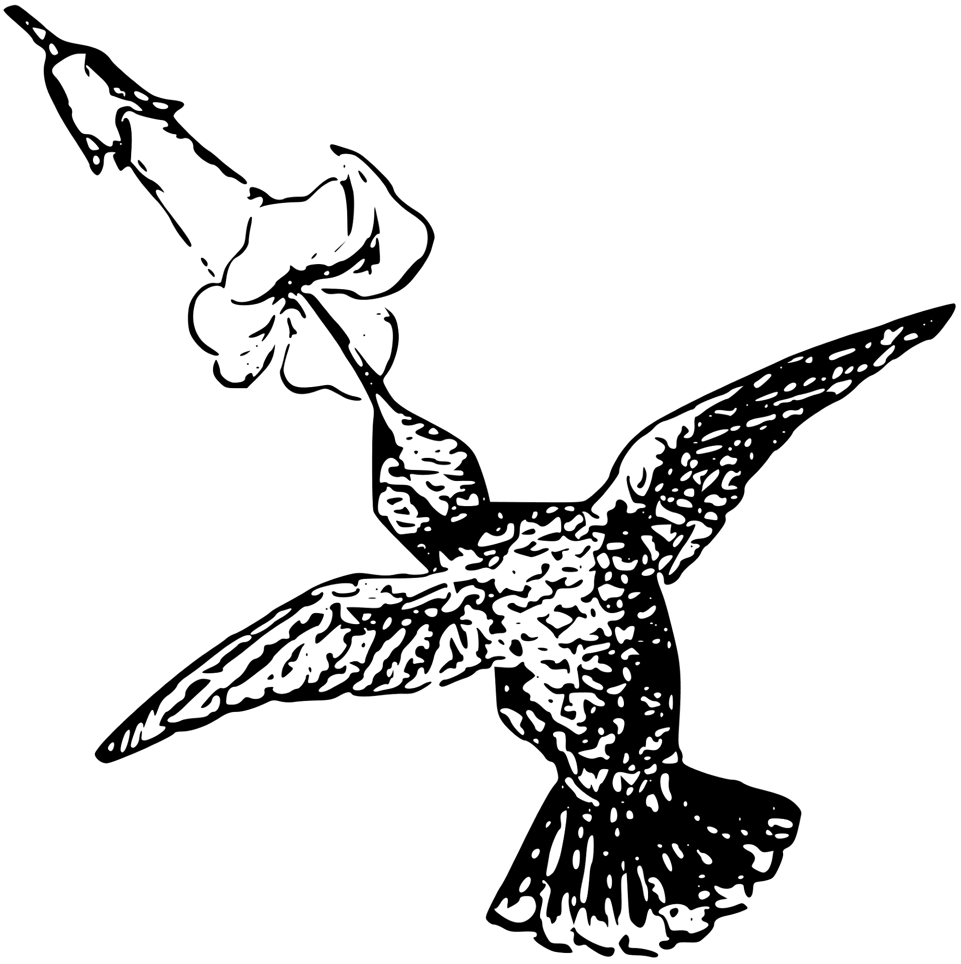 Desenho de Beija Flor para colorir