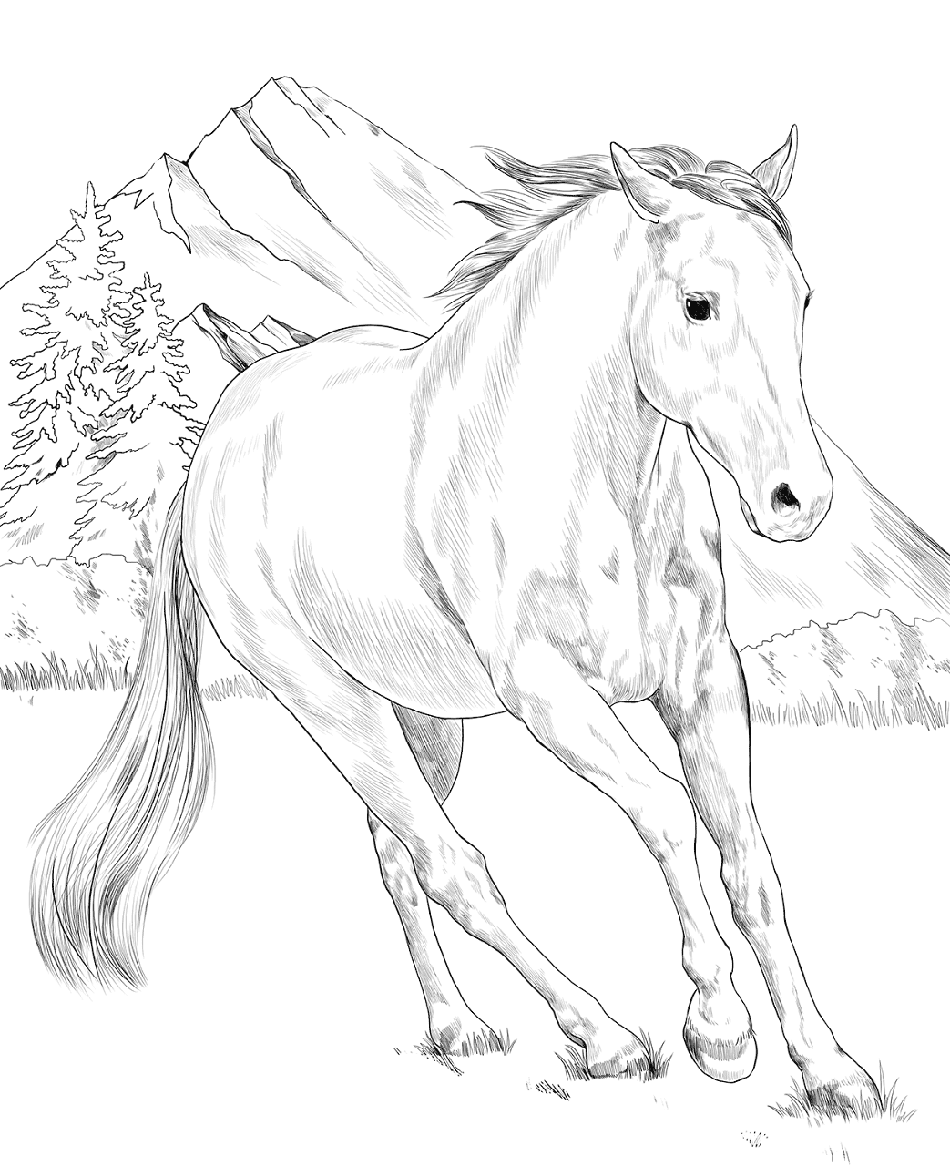 Desenho de Belos Cavalos Livro de Colorir para colorir e imprimir: número 1