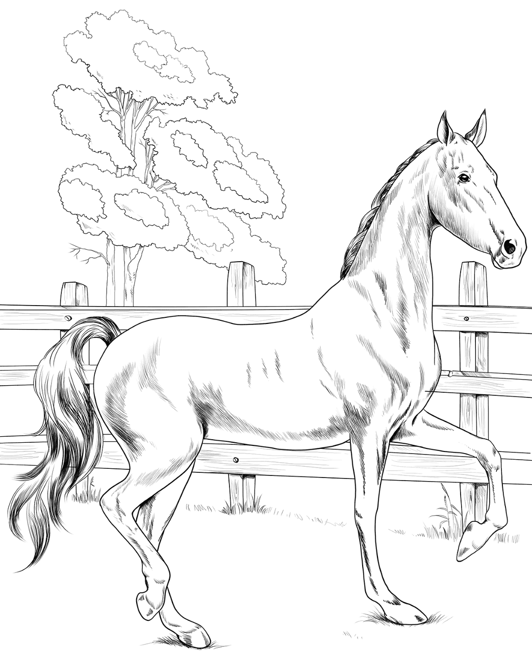Desenho de Belos Cavalos Livro de Colorir para colorir e imprimir: número 2