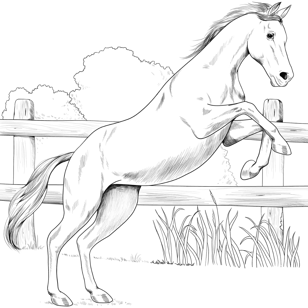 Desenho de Belos Cavalos Livro de Colorir para colorir e imprimir: número 3