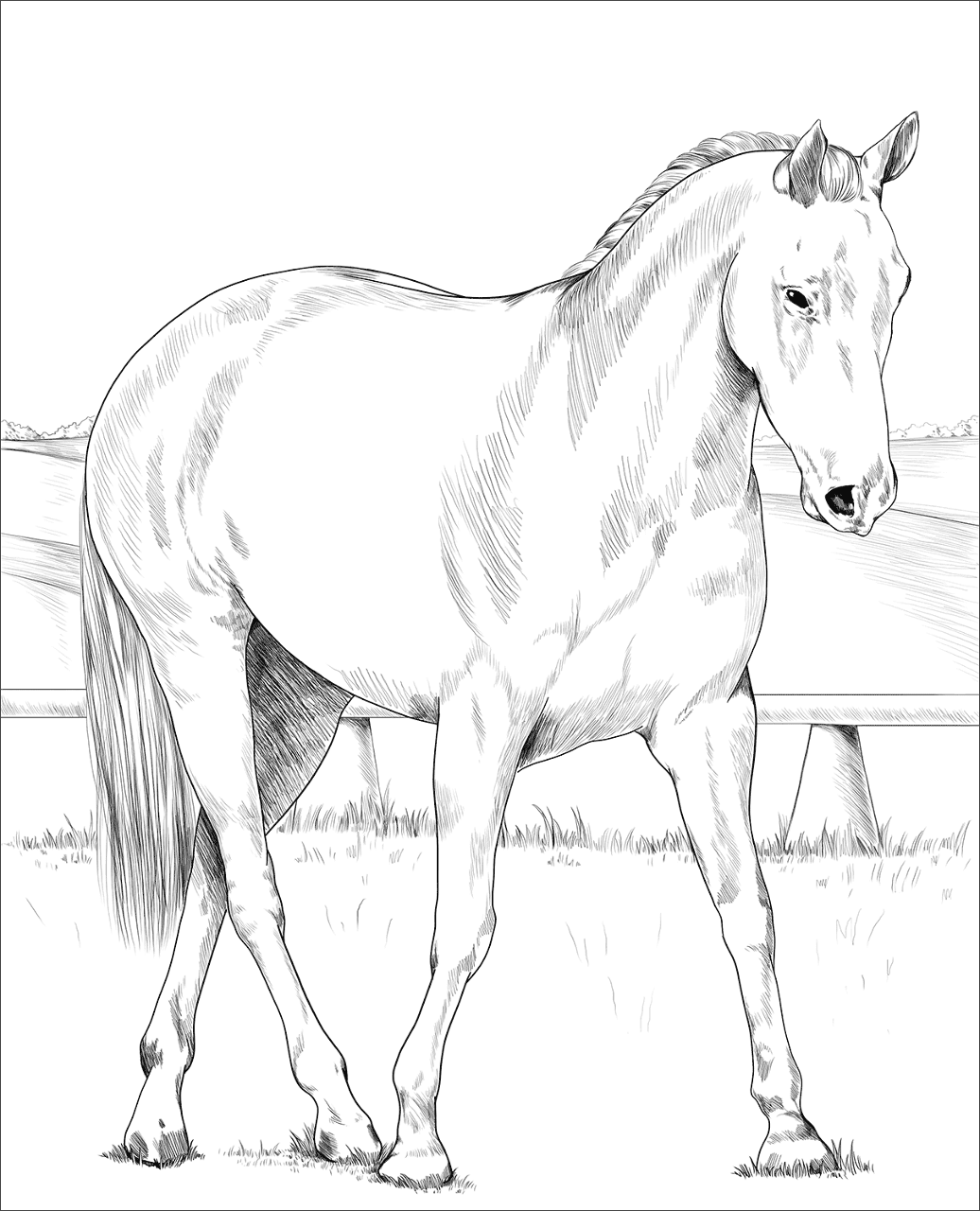 Desenho de Belos Cavalos Livro de Colorir para colorir e imprimir: número 4