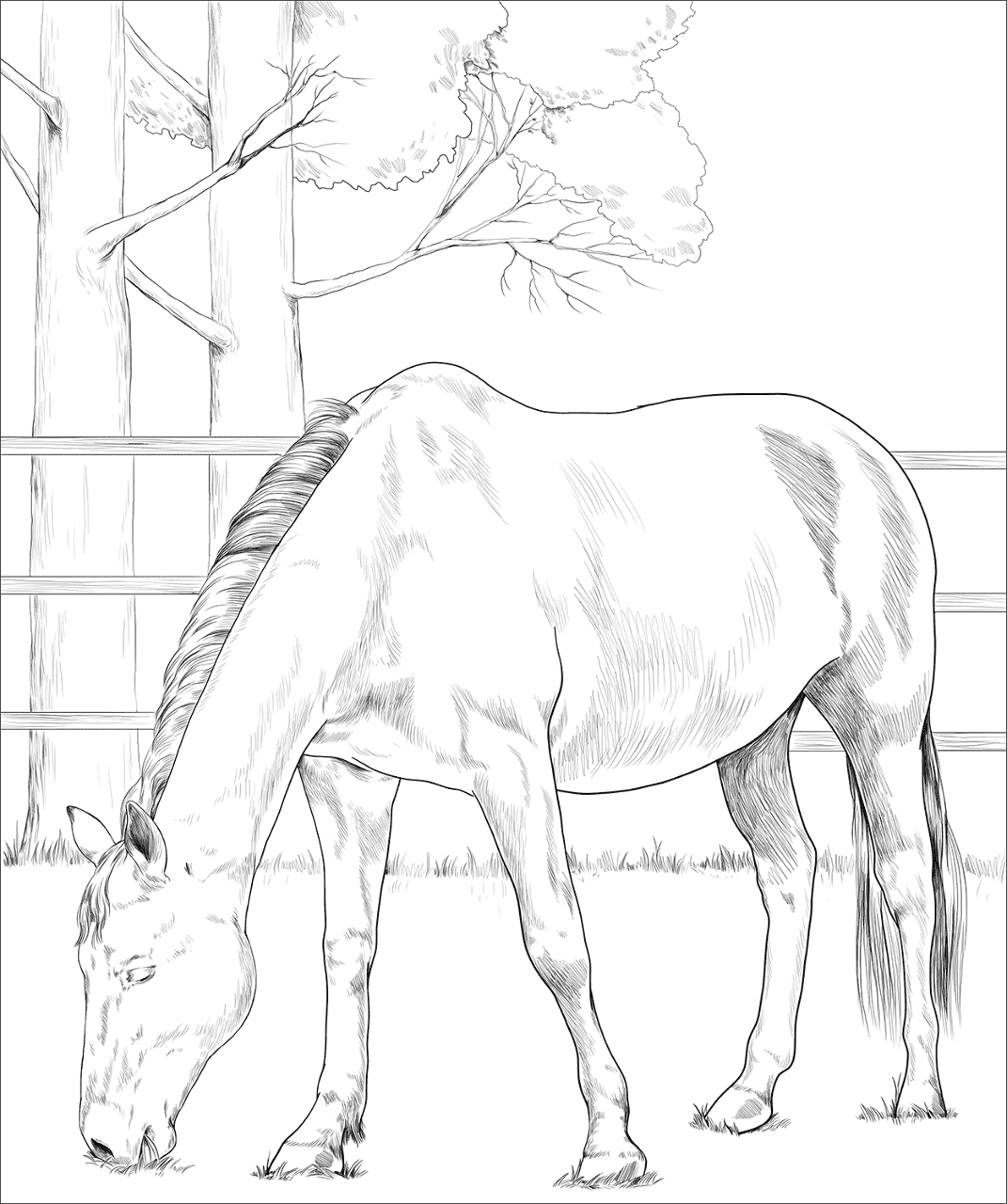 Desenho de Belos Cavalos Livro de Colorir para colorir e imprimir: número 5