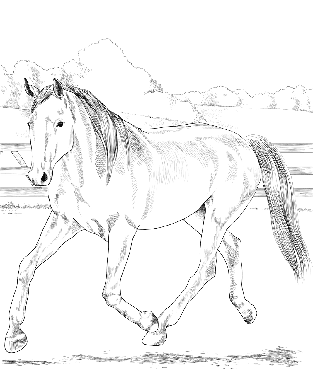 Desenho de Belos Cavalos Livro de Colorir para colorir e imprimir: número 6